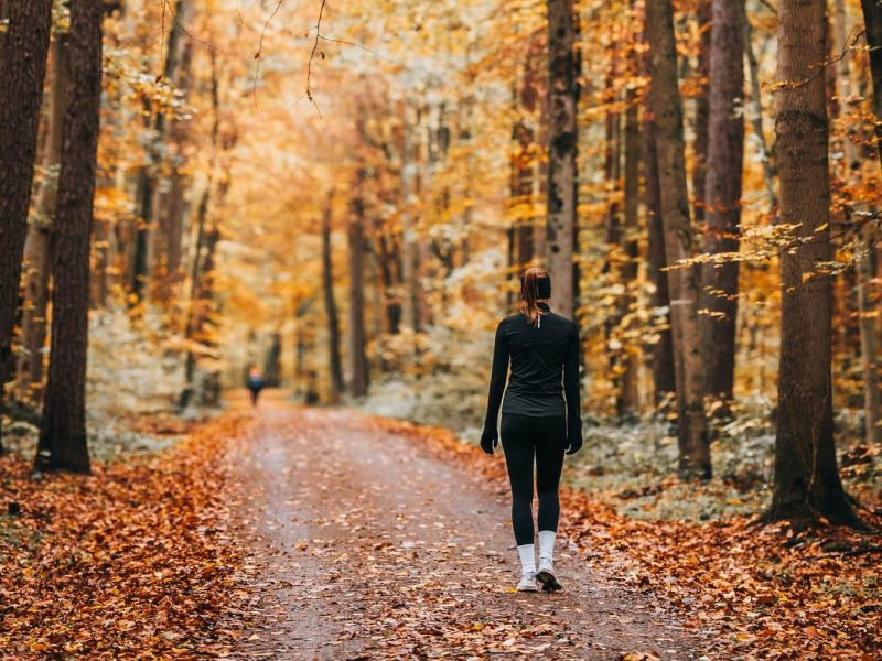 Person walking on a leaf-covered path through a forest with tall trees and autumn foliage.
