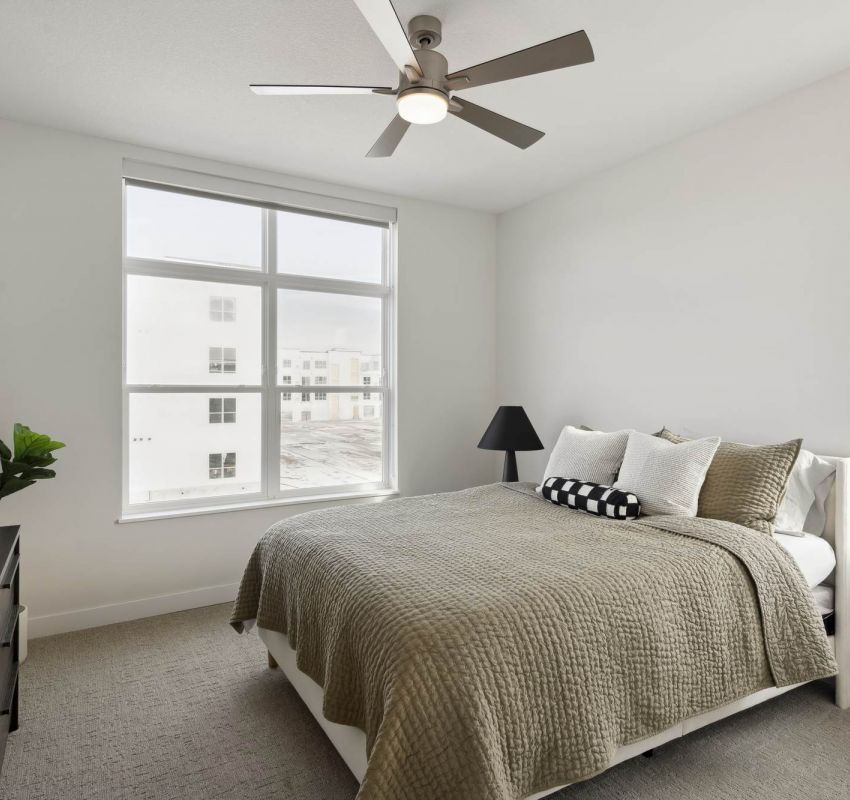 Minimalist bedroom with large windows, a double bed, ceiling fan, dresser, and neutral decor.