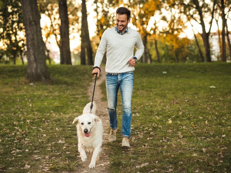 Man walking his golden retriever along a tree-lined park trail in Oakdale, MN, surrounded by grassy green space and colorful autumn foliage.
